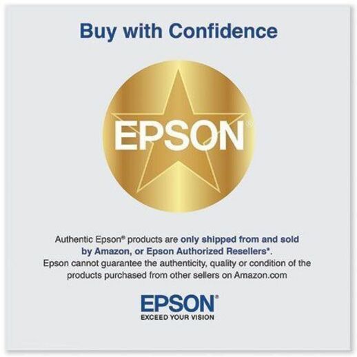 Epson UltraChrome PRO 770 Original Inkjet Ink Cartridge - Vivid Light Magenta Pack