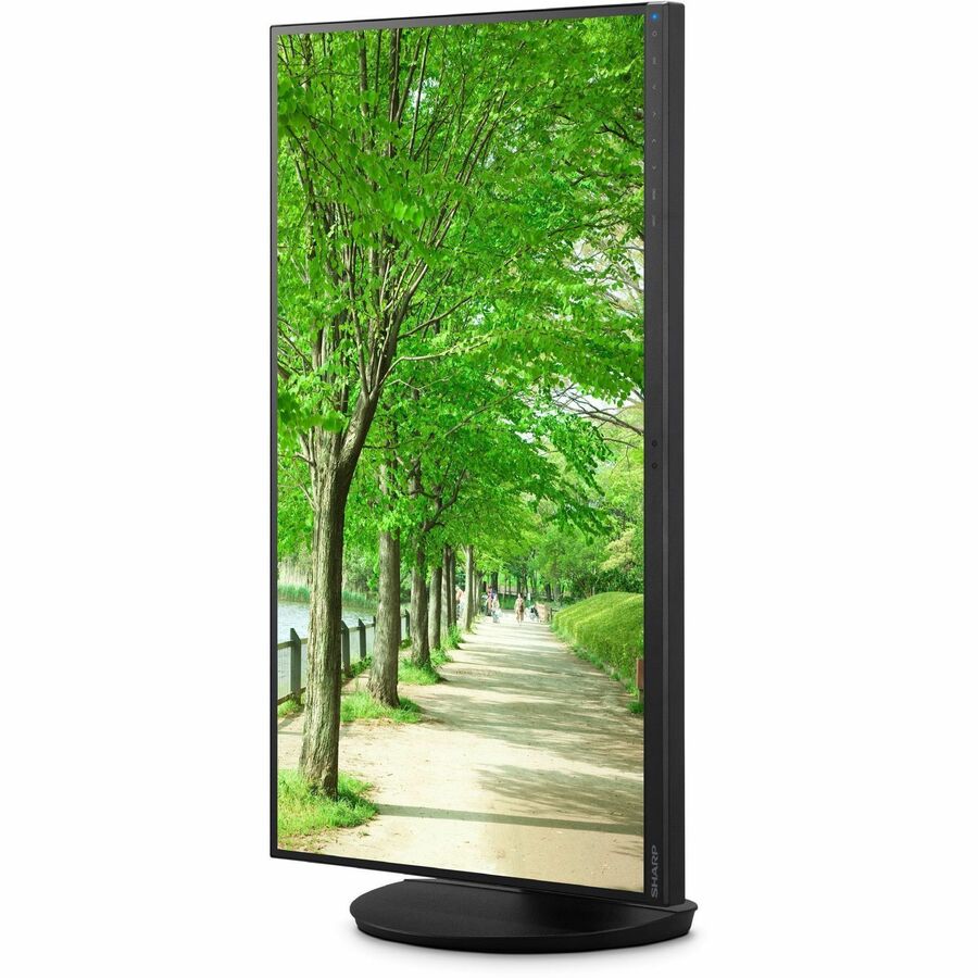 Sharp MultiSync DD-EA242F 24