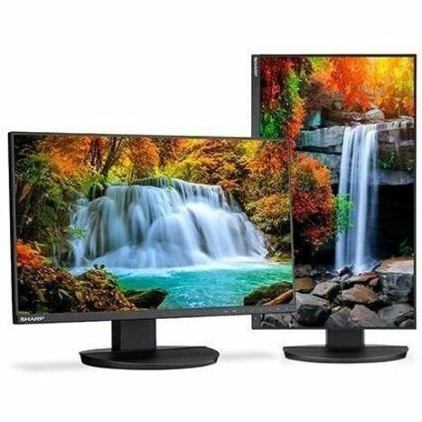 Sharp MultiSync DD-EA242F 24
