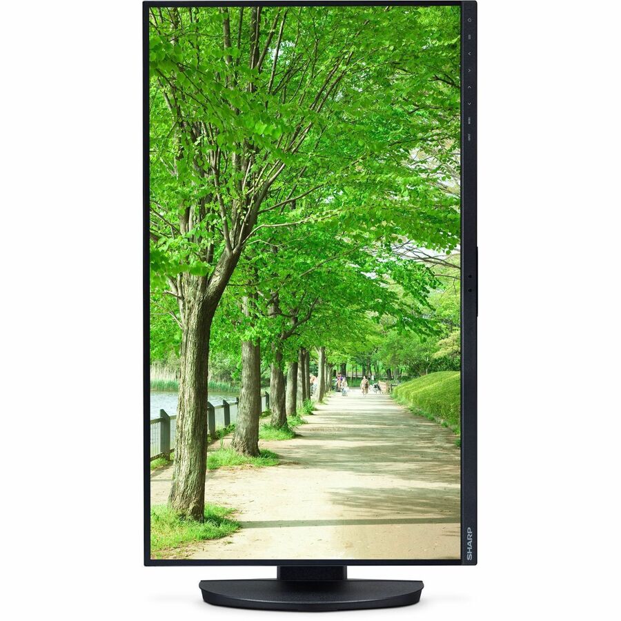Sharp MultiSync DD-EA242F 24