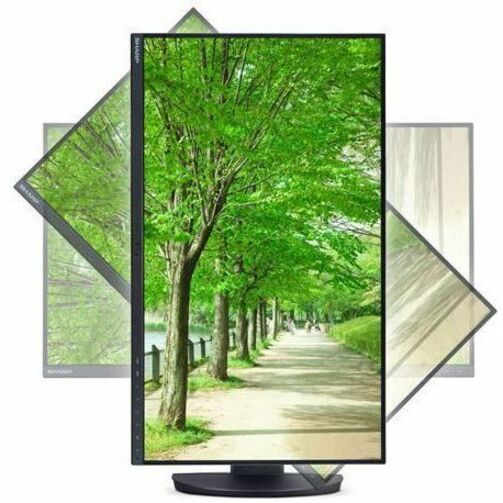 Sharp MultiSync DD-EA242F 24