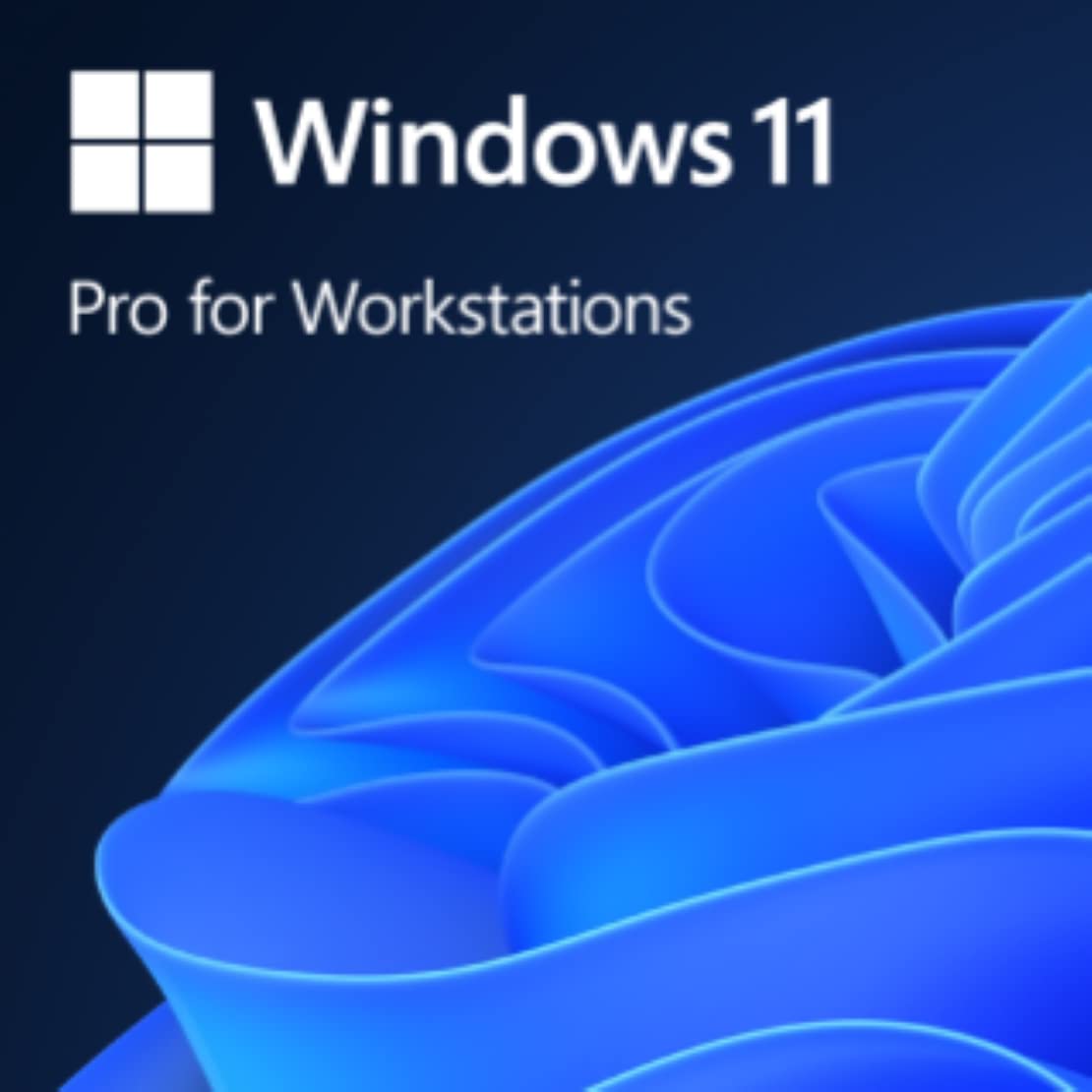 Microsoft Windows 11 Pro 64-bit for Workstations - License - 1 License