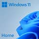 Microsoft Windows 11 Home 64-bit - License - 1 License