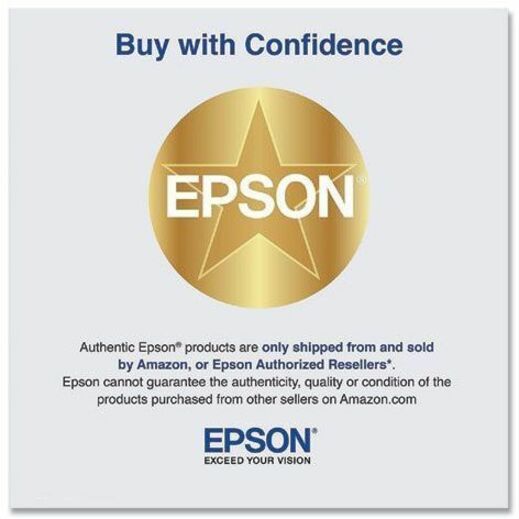 Epson UltraChrome PRO 770 Original Inkjet Ink Cartridge - Matte Black Pack