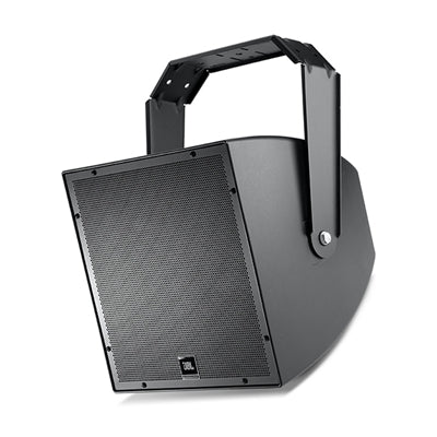 JBL Co ax 12
